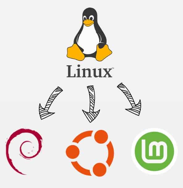 Illustration du Kernel Linux et de différentes distributions Linux